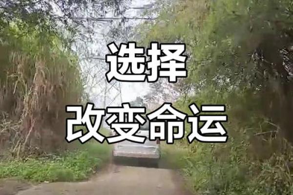 解密一等命与二等命：命运的不同选择与人生哲学探讨