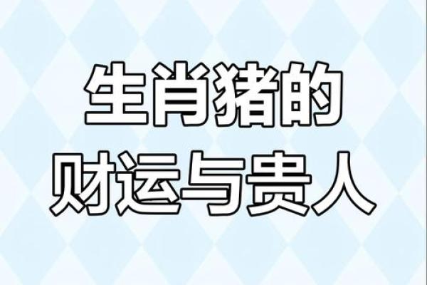 属于1994年属猪人的命运解析与人生建议