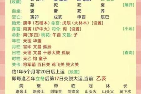 解密丁酉年：命理解析与人生指导