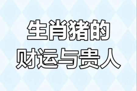 属于1994年属猪人的命运解析与人生建议