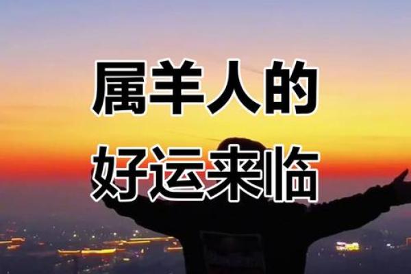 2014年属羊人的命运探秘：金命的运势与生活启示