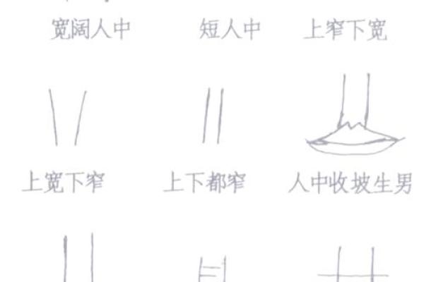 命与形——从字形探讨命运的奥秘与结构之美