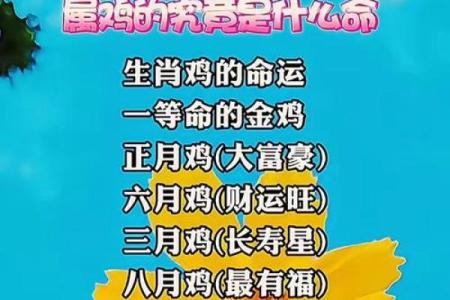 1993年出生的人命理解析：探索金鸡的奥秘与人生方向