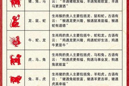 探讨十二生肖与命运的奥秘：你属于哪一种命？