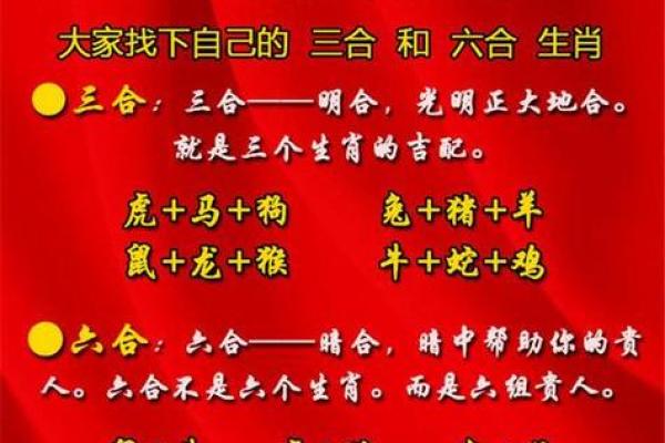 鸡年土命配什么生肖：探秘命理与生肖的奇妙关系