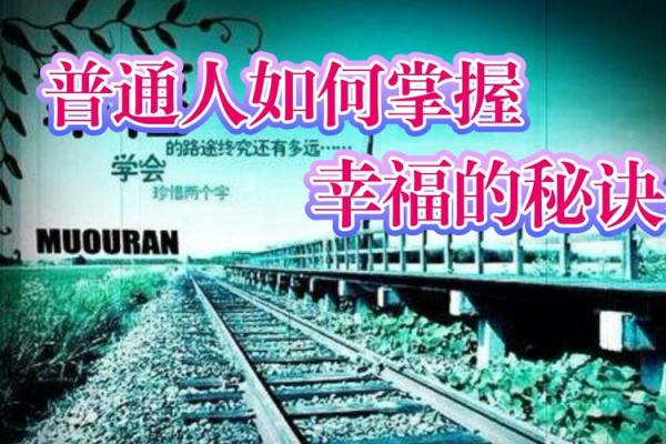 2017年鸡年运势解析：从命理看你的生活运程与幸福秘诀