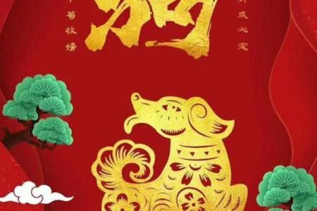 属狗50岁的人生智慧与命运解析