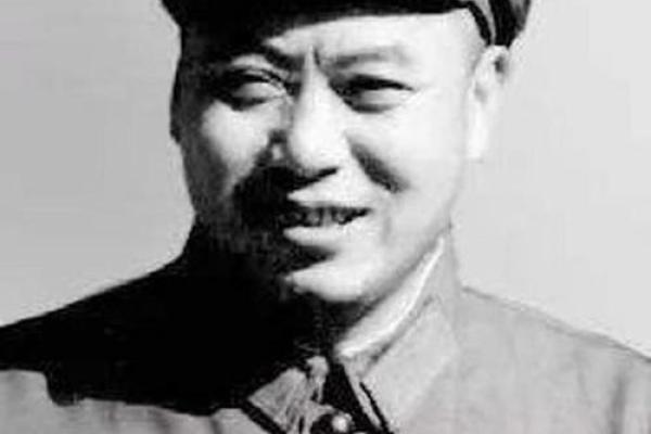 将军命：成就与挑战的传奇人生之旅