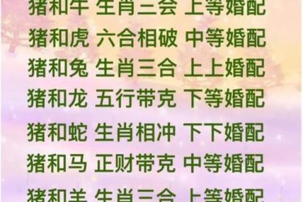 属猪10月28日出生的命格与人生解析