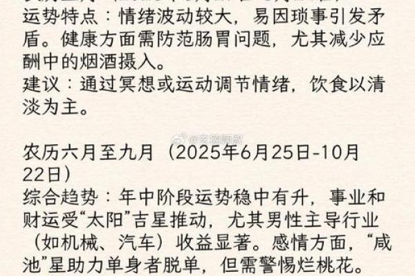 2014年马是什么命：探寻马年之运势与性格魅力