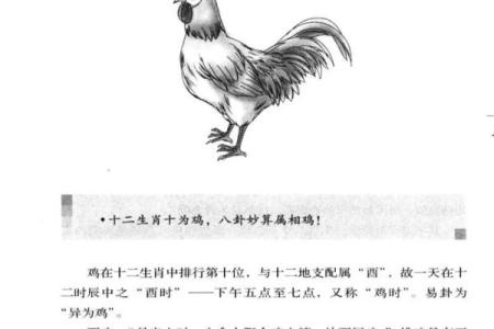 腊月十四出生的属鸡人：命运与性格的揭秘