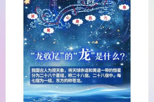 探索水龙之命的颜色与运势之道，提升你的生活品质
