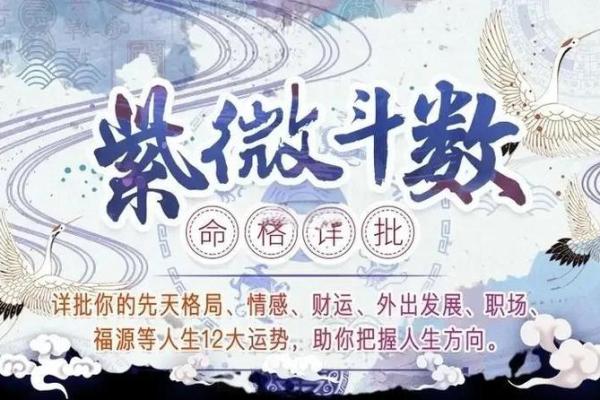 探秘紫薇命的奥秘：为何注定难以长久？