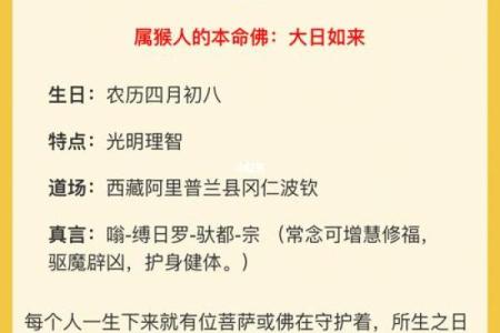 腊月二十九的命运之谜：一年一度的时间与命理探险