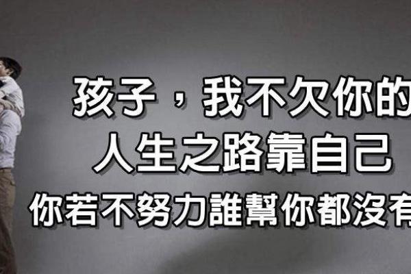 1966年属相解析：火马命的魅力与人生之路