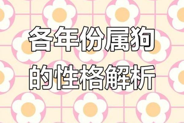 82属狗的命运解析：命理与性格的深度剖析