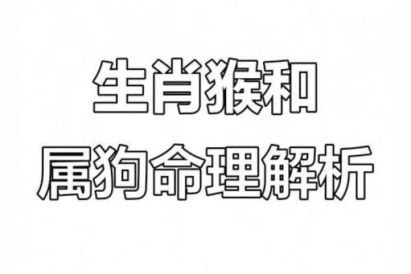 82属狗的命运解析：命理与性格的深度剖析