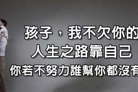 1966年属相解析：火马命的魅力与人生之路