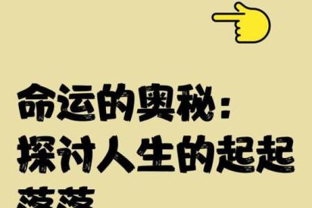 深度解析：91年1130究竟意味着什么命运与人生的启示