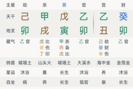 正官格命局女命：优雅与权威交织的魅力人生