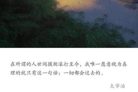 1971年出生者的命格分析：探寻命运的秘密与人生轨迹