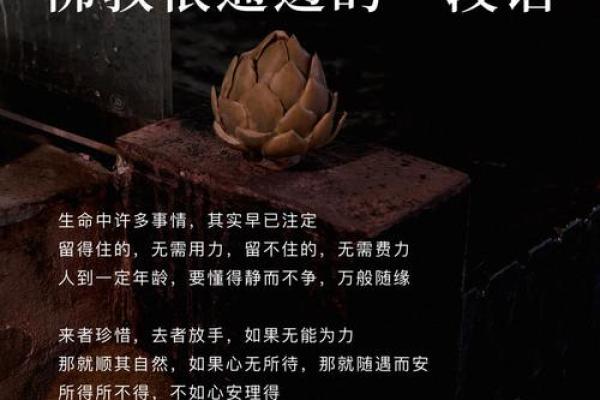 路旁土命：自然的馈赠与生活的智慧