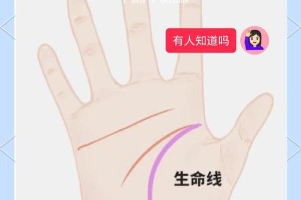 探索命理学：揭示生命奥秘与实现自我价值的必由之路