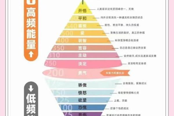 探秘“5命”和“6命”：命理学中的奥秘与启示
