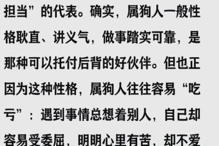 属狗的人最佳命运分析：聪明、忠诚与幸福的结合