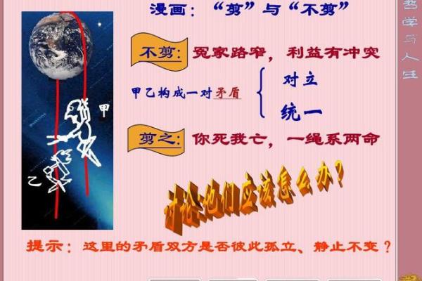 探索六命小鹿的强度与实战应用：如何选择最佳配置