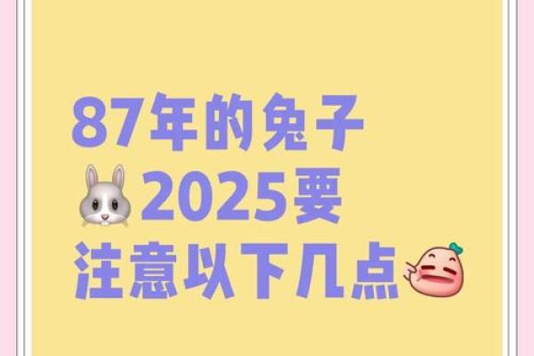 属兔的松柏木命：最佳理想搭配与命运分析