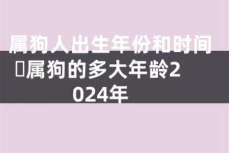 1940年属狗的命运与性格分析：揭秘命理智慧