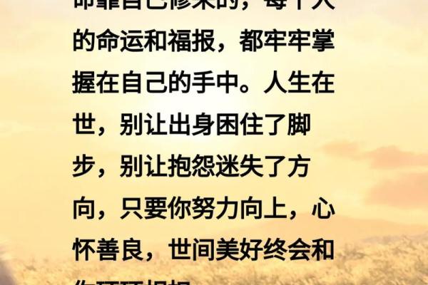 命书中的运气解析：揭开人生旅程的神秘面纱