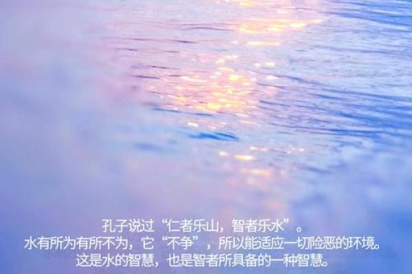 水命人的幸运数字与生活智慧探讨