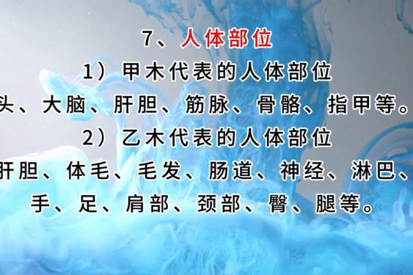 甲乙之命：解析天干与命局的奥秘，揭示人生密码！