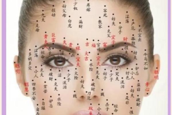 女人的面相与性格命运探究：从脸部特征看人生轨迹