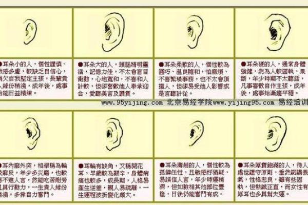 耳朵大脸大的人生命运：从面相解析到性格剖析