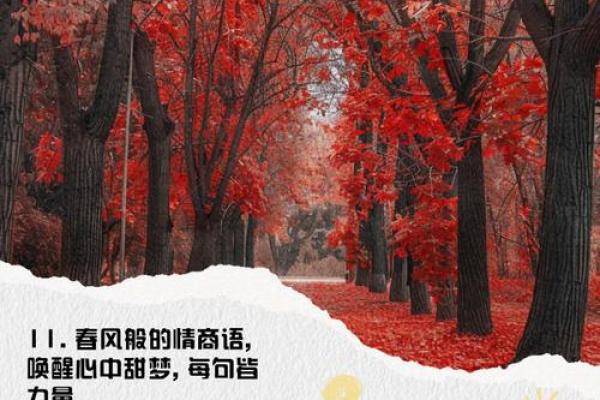 木命与金命适合的生意选择，助您事业腾飞！