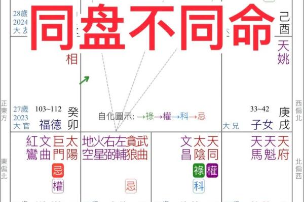 解析紫微金四局男命：命格与人生的深度探索