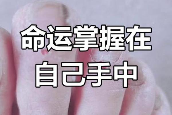 2001年出生的马：命运解析与人生智慧