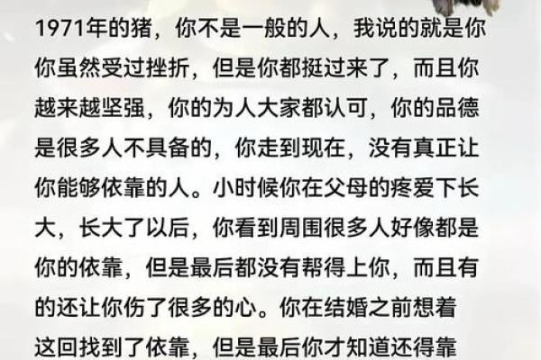 1971年属猪之人：命运与性格的深度解析