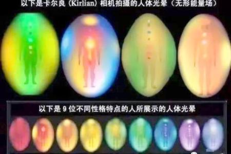 2001年出生的马：命运解析与人生智慧