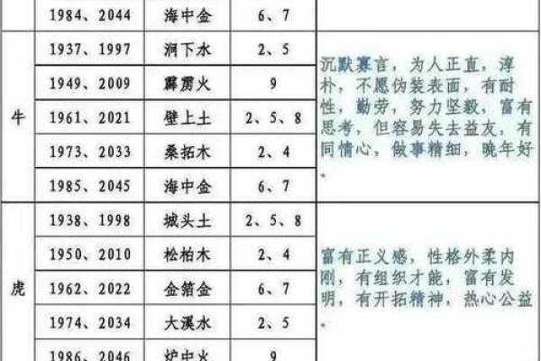 2002年出生者的命运与五行分析：了解你的性格与未来
