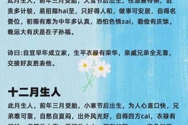 49岁属什么命人呢？探索属相与命运的奥秘！