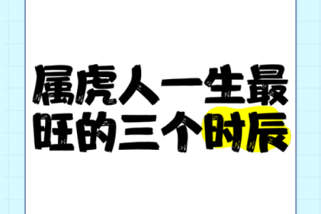 1998年5月出生的你：探秘戊寅年属虎的命运与人生