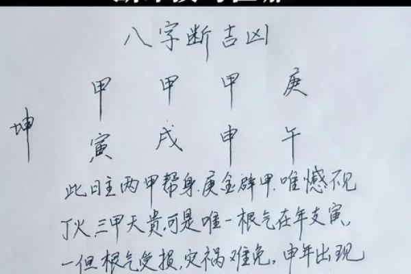 谁能预测明年什么命？探寻命运与运势的奥秘