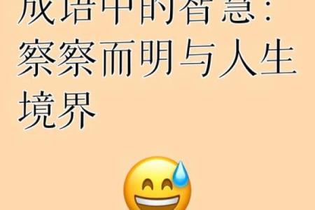 命运与成语：趣味游戏让你领悟人生哲理