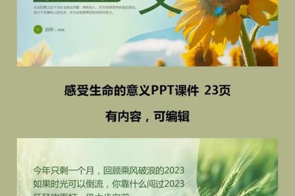 福寿无量：探寻生命的深意与幸福的真谛
