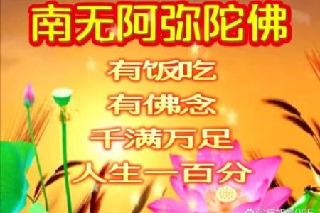 福寿无量：探寻生命的深意与幸福的真谛