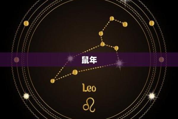 鼠年出生男孩的命运分析：潜力与挑战并存